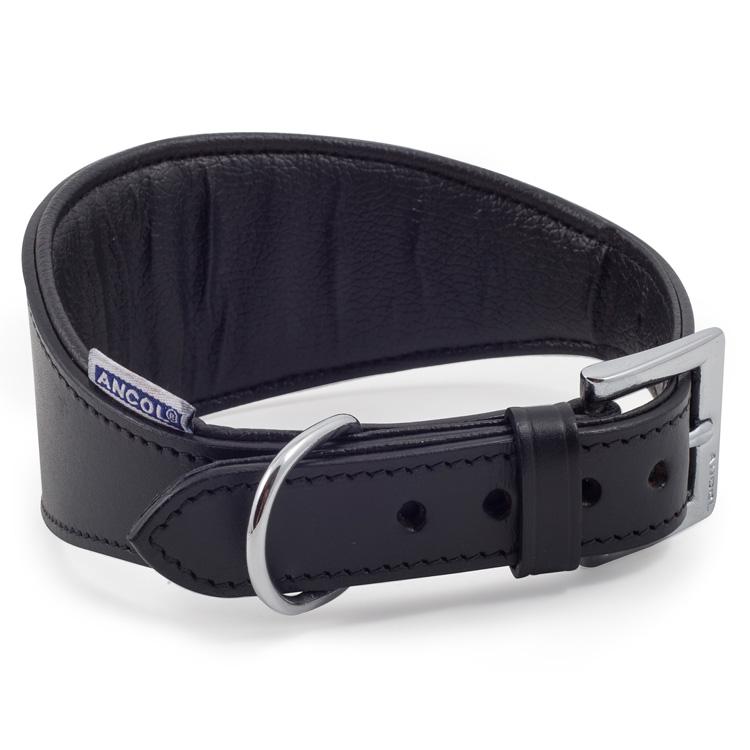 Greyhound & Whippet Collars