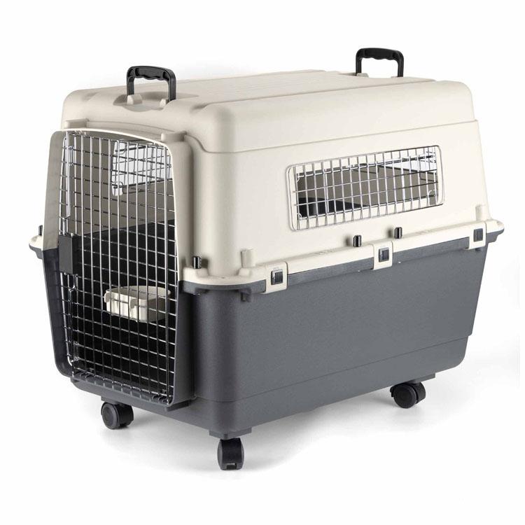 Dog Carriers