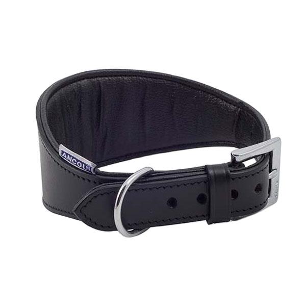 Dogs Collars