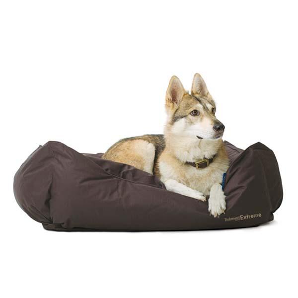 Dog Beds