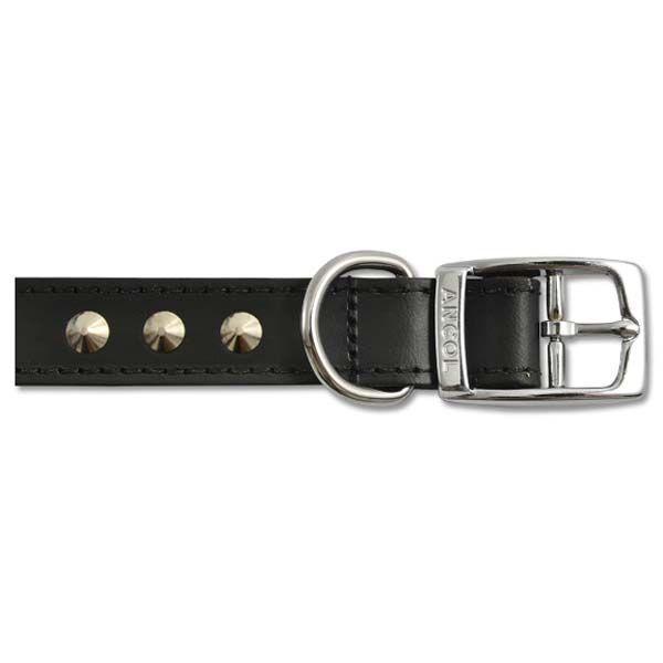 Studded & Patterned Leather Collars