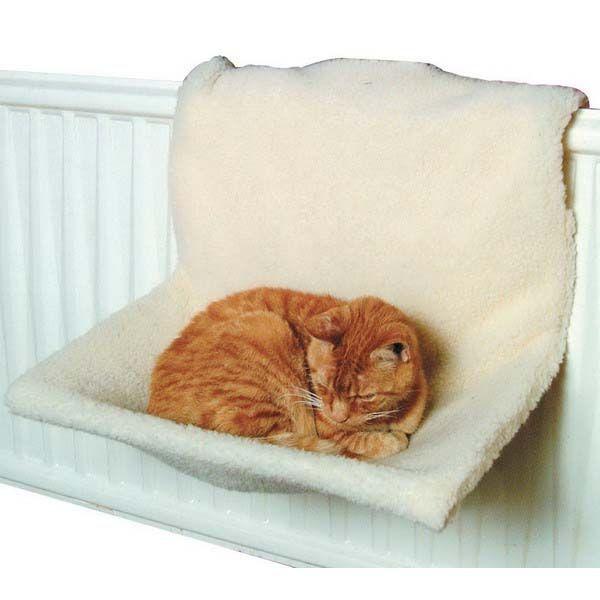 Radiator Beds