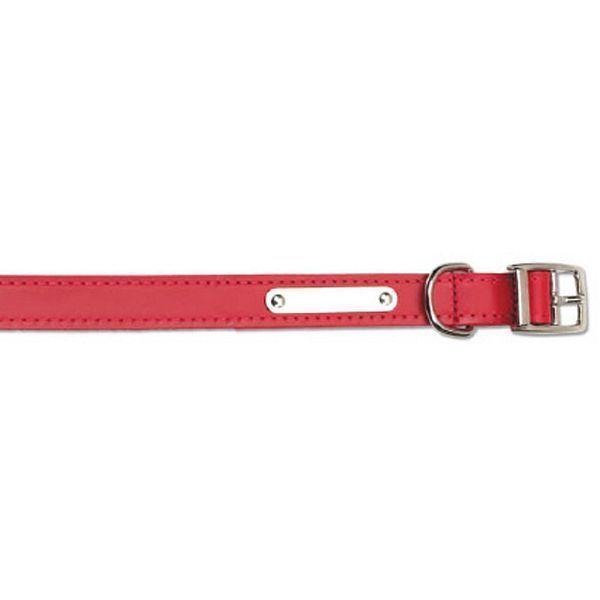 Plain & Riveted Leather Collars