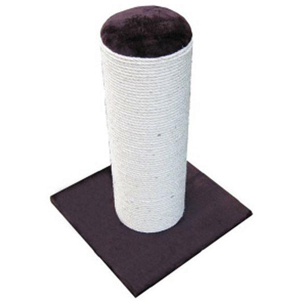 Scratching Posts & Pads