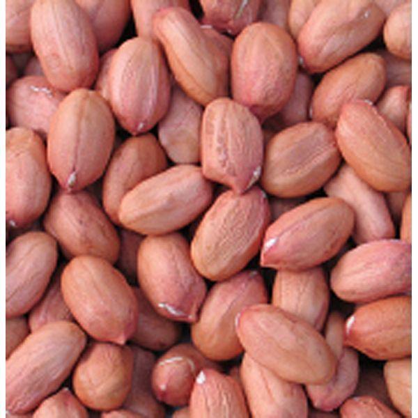 Wild bird food, peanuts & fat balls