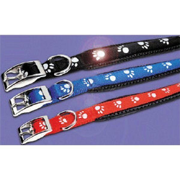 Dog Collar & Lead Kits
