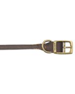 Timberwolf Dog Collar