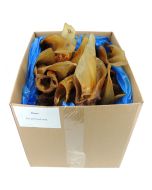 Cows Ears for Dogs - 50 Pack