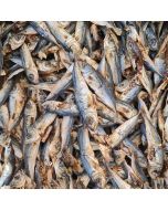 Dried Sprats for Dogs - 1kg & 500g