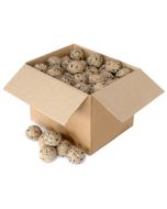 Bulk Fat Balls for Birds