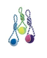 Tennis Ball on a Rope