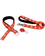 Reflective Paw Collar & Lead
