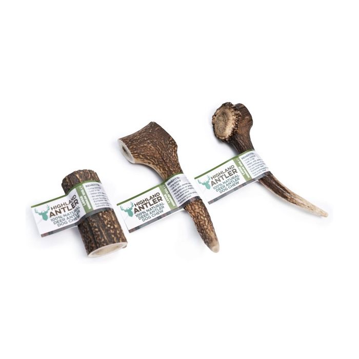 Large Deer Antlers for Dogs