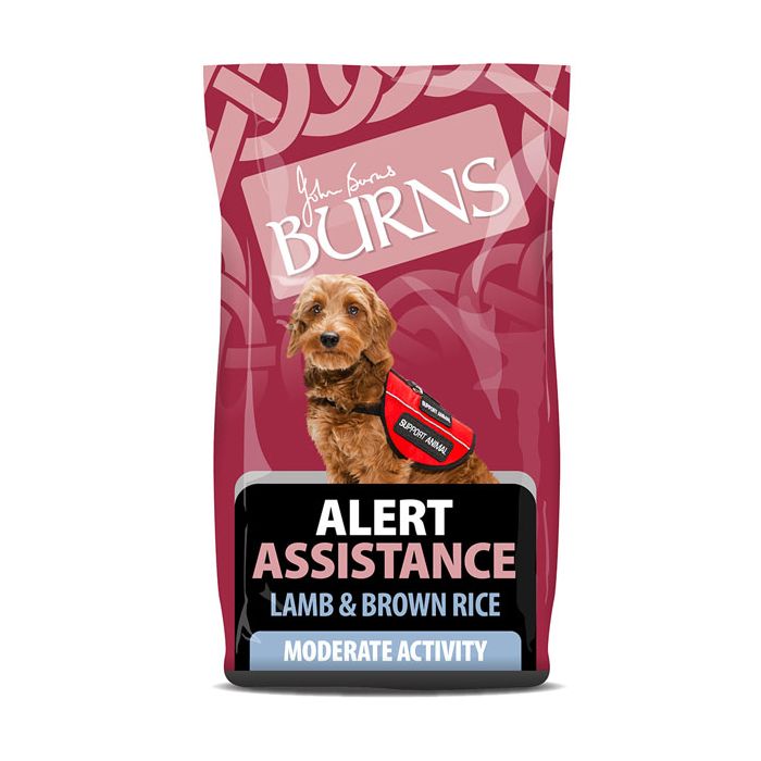 Burns Alert Lamb & Rice 12kg