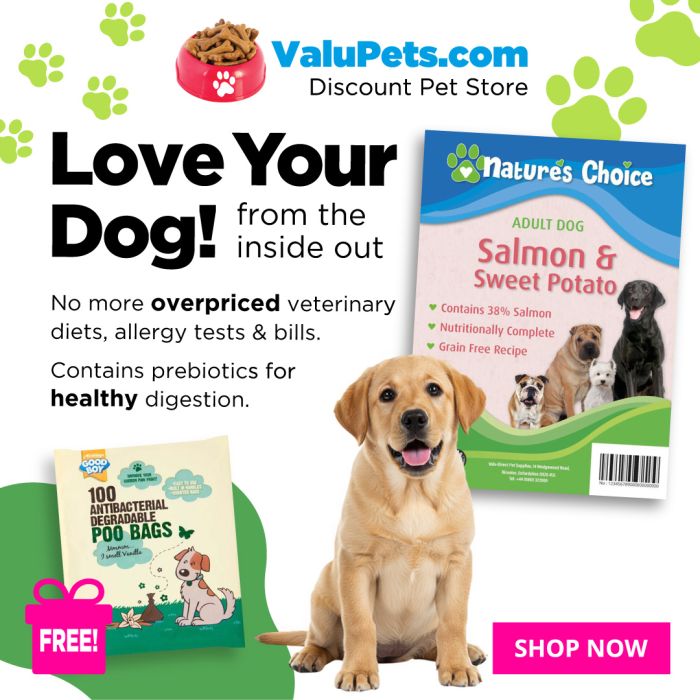Natures Choice Salmon & Sweet Potato Dog Food - Wafcol Dog Food
