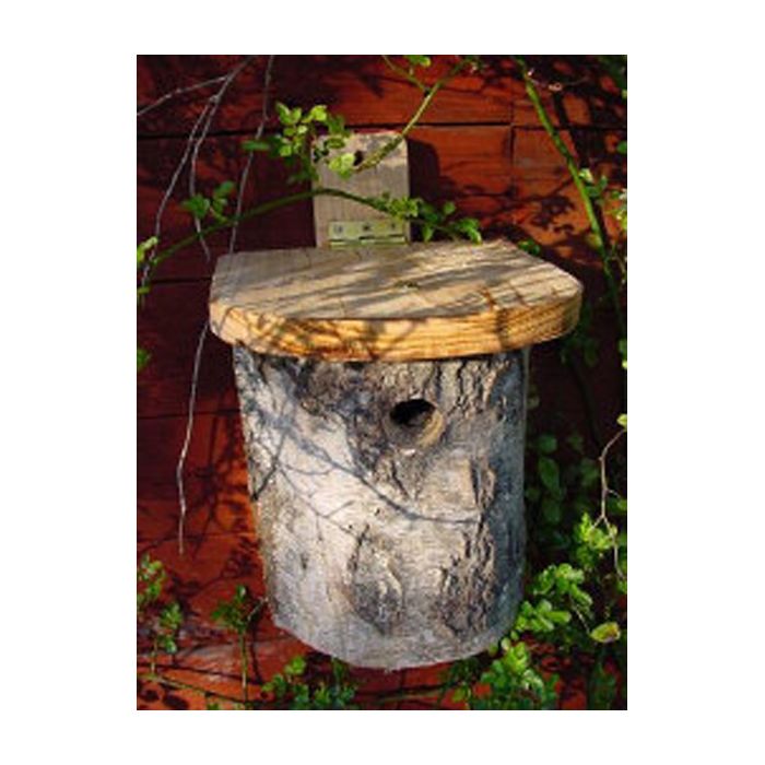 Silver Birch Nesting Tit Box