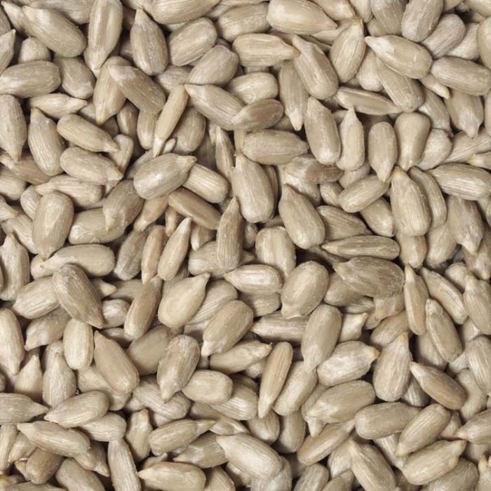 Premium Sunflower Hearts for Wild Birds