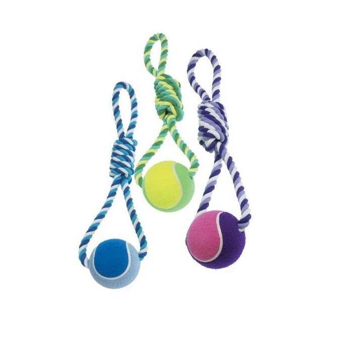 Tennis Ball on a Rope