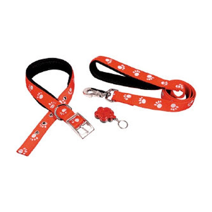 Reflective Paw Collar & Lead