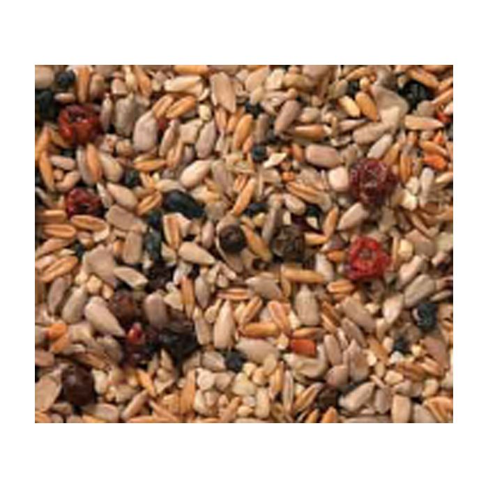 Hedgerow & Berries Wild Bird Food