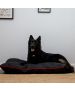 Ancol Extreme Waterproof Large Dog Bed
