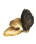 Large Hairy Cow's Ears for Dogs