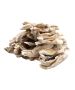 Hairy Rabbit Ears for Dogs - 500g
