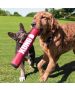 Kong Signature Stick for Dogs - XL, Large & Medium