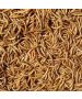 Dried Mealworms