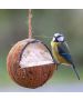 Whole Suet Filled Coconuts for Wild Birds