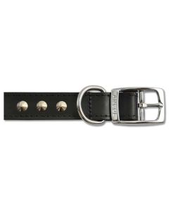 Studded Leather Dog Collar - Black