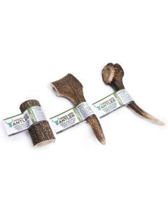 Large Deer Antlers for Dogs