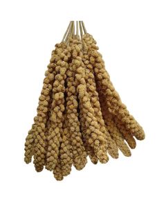 Millet Sprays 15kg