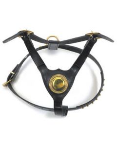 Bull Terrier Harness
