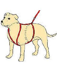 Canac Nylon  Dog  Harness