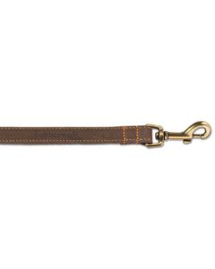 Timberwolf Dog Lead