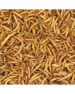Dried Mealworms for Birds