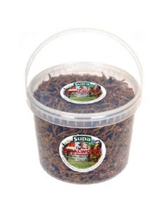 Dried Mealworms with Fruit & Honey