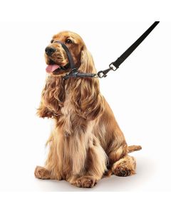Gentle Leader Head Collar