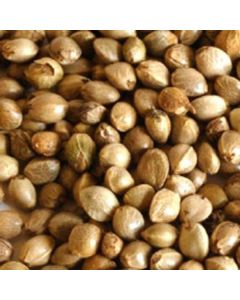 Hemp Seed for Birds