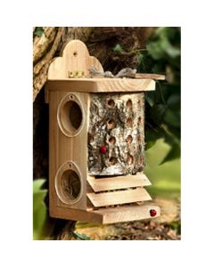 Ladybird & Lacewing Box