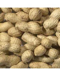 Monkey Nuts