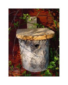 Silver Birch Nesting Tit Box