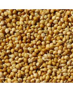 Panicum Millet 20kg