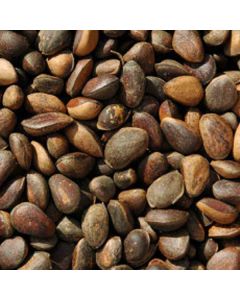 Pine Nuts 12.5kg