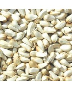 Safflower Seed 12.5kg