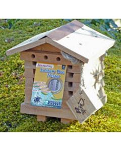 Solitary Bee Hive
