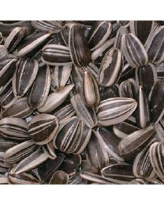 Striped Sunflower Seeds 10kg