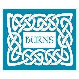 Burns