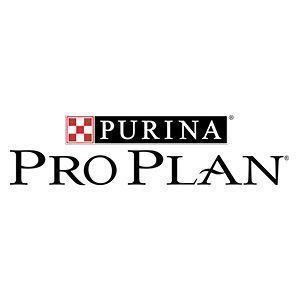 Pro Plan